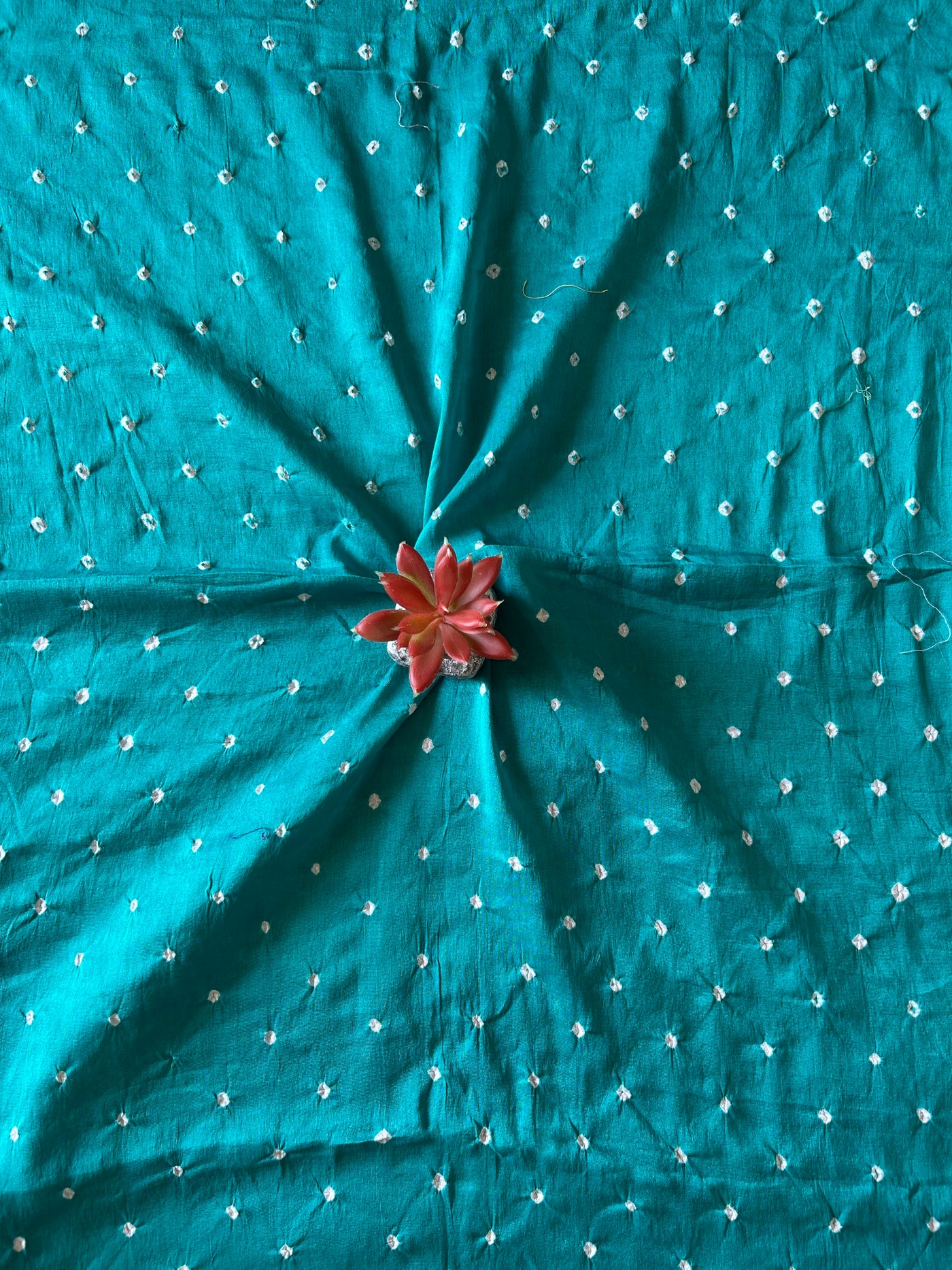 RAMA: HANDMADE NUI SHIBORI-BANDHANI PURE SILK-COTT SAREE