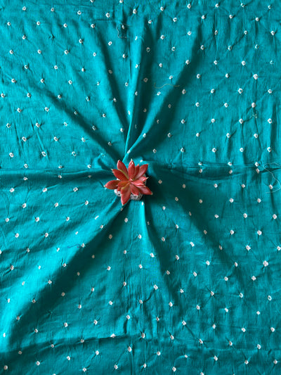 RAMA: HANDMADE NUI SHIBORI-BANDHANI PURE SILK-COTT SAREE