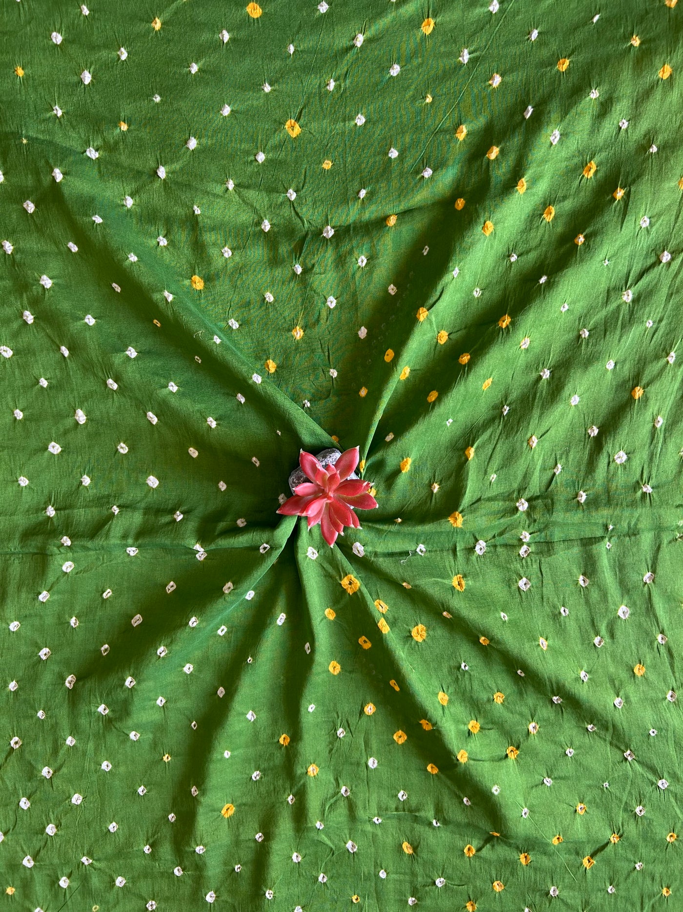 GENDA PHOOL: HANDMADE NUI SHIBORI-BANDHANI PURE SILK-COTT SAREE