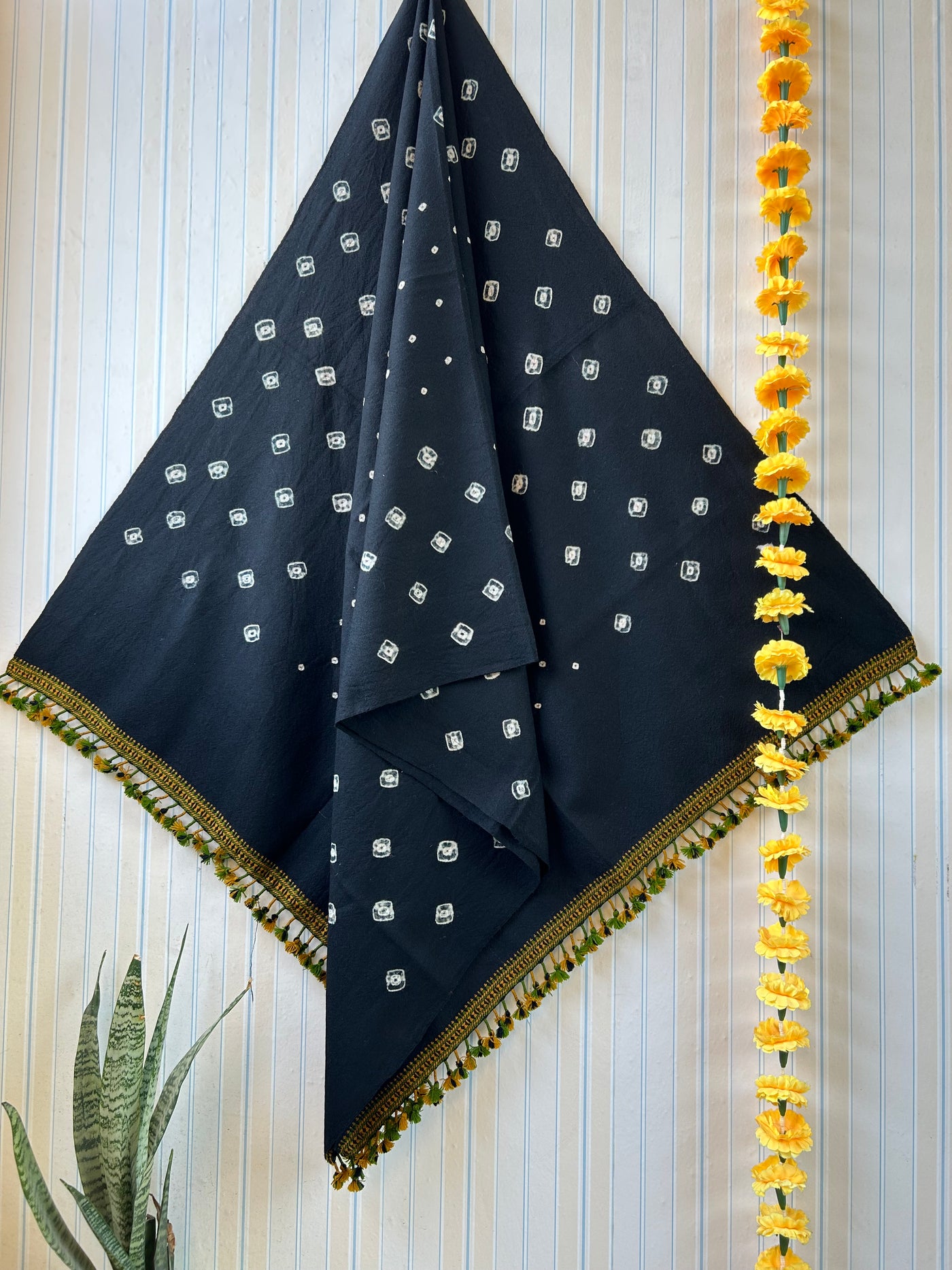 Shooting star:Handloom Marino Wool bandhni shawl