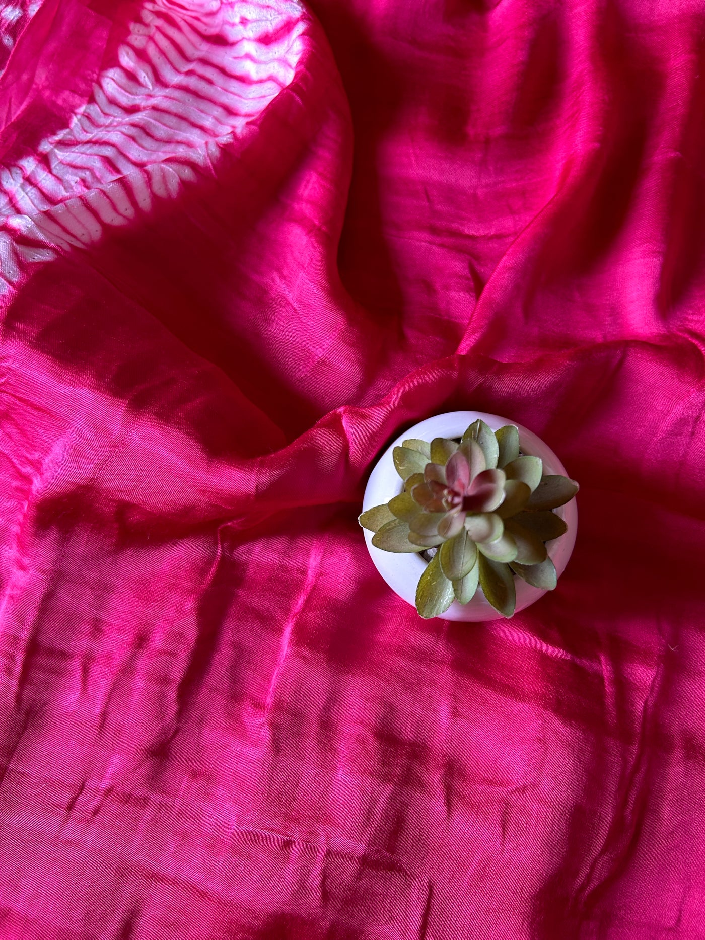 Keertana:Handmade Shibori Dyed Modal Silk Tissue Pallu Saree