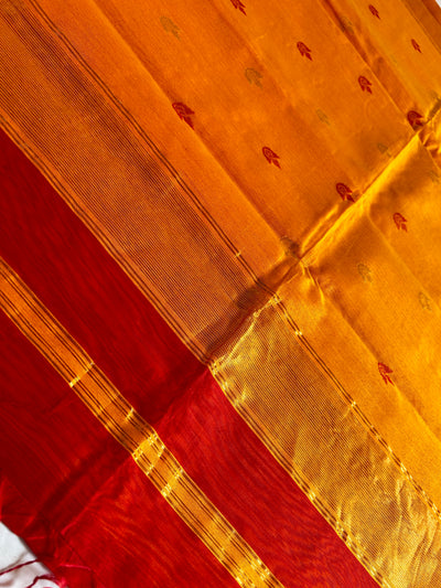 TAPI: Handloom Silk-Cott Maheshwari Saree With Zari Border