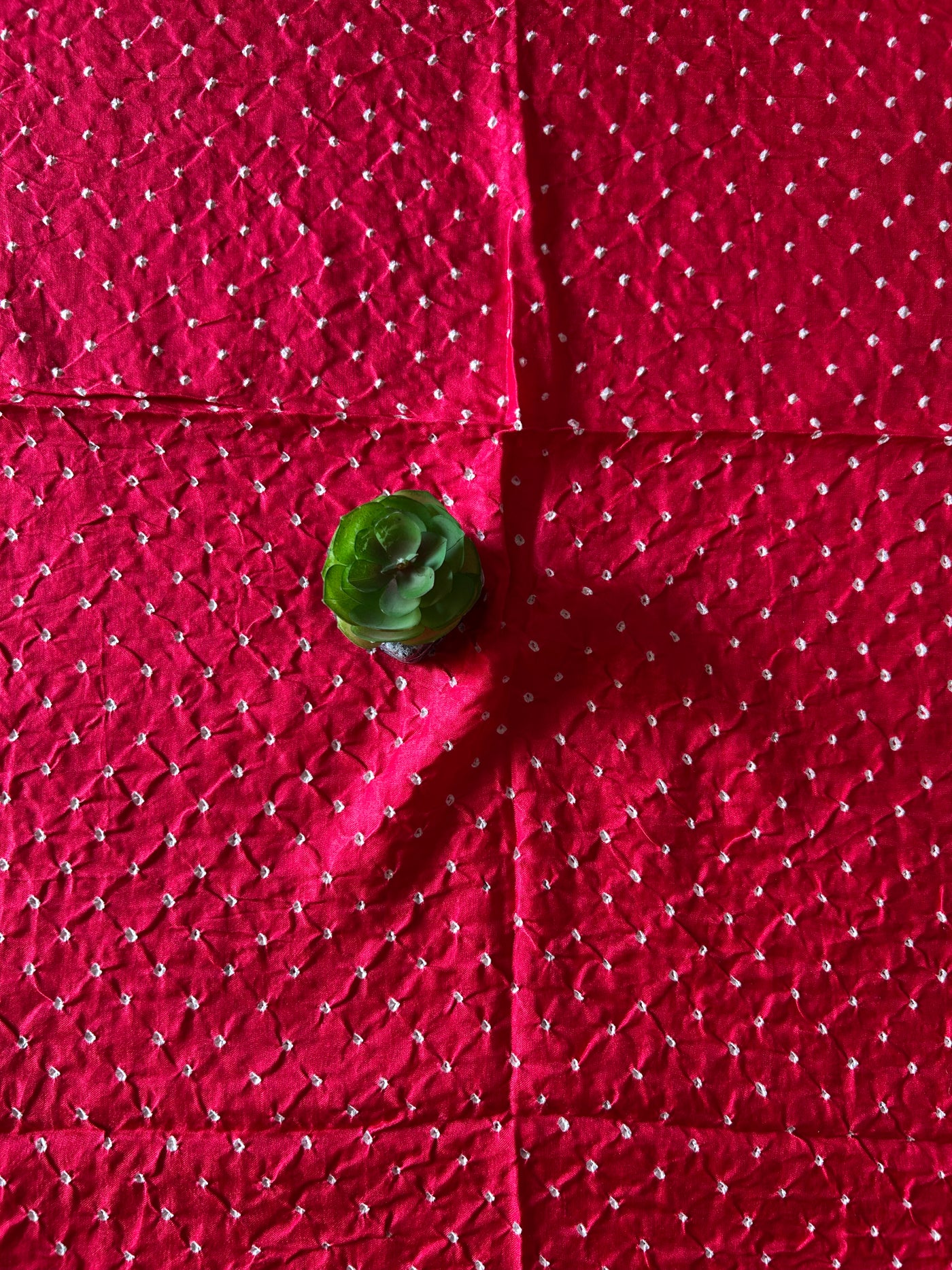 UPASANA: HANDMADE PURE GAJJI SILK RAI DANA BANDHNI SAREE WITH TISSUE PALLU