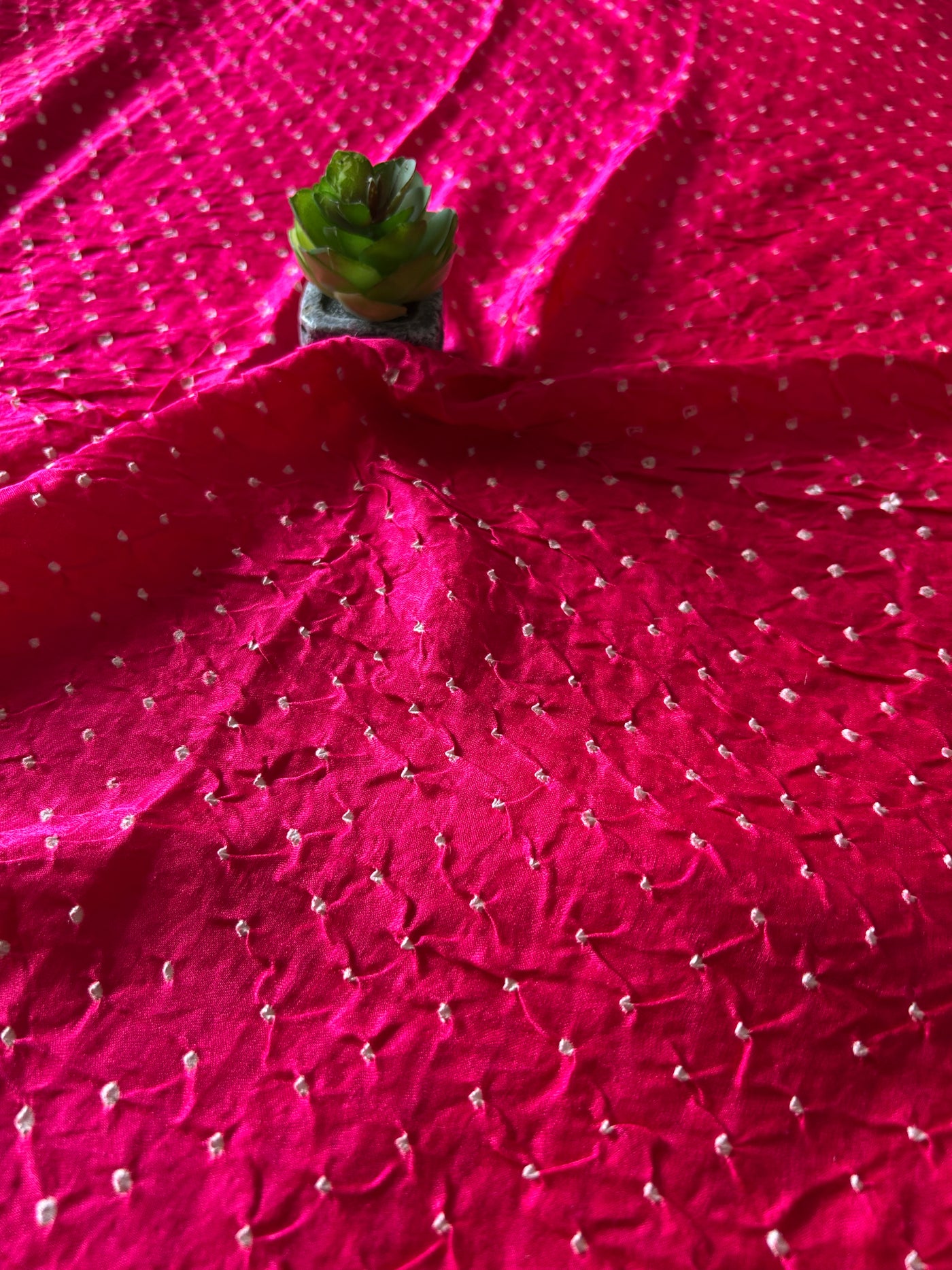 MRINALINI: HANDMADE PURE GAJJI SILK RAI DANA BANDHNI SAREE WITH TISSUE PALLU