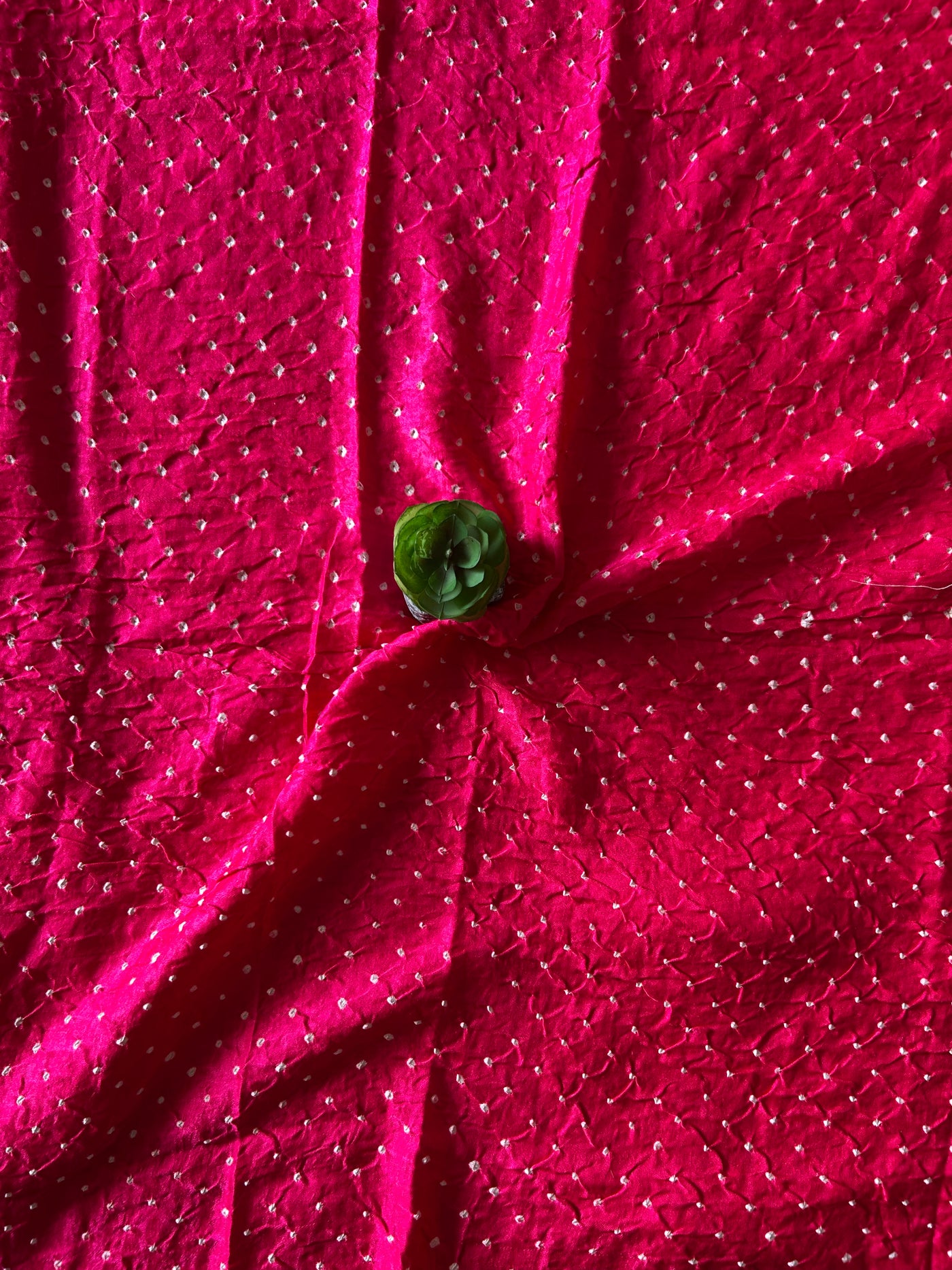 MRINALINI: HANDMADE PURE GAJJI SILK RAI DANA BANDHNI SAREE WITH TISSUE PALLU