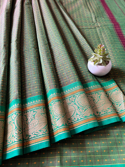 Gulab:KANCHIPURAM PURE COTTON SAREE WITH BODERS.