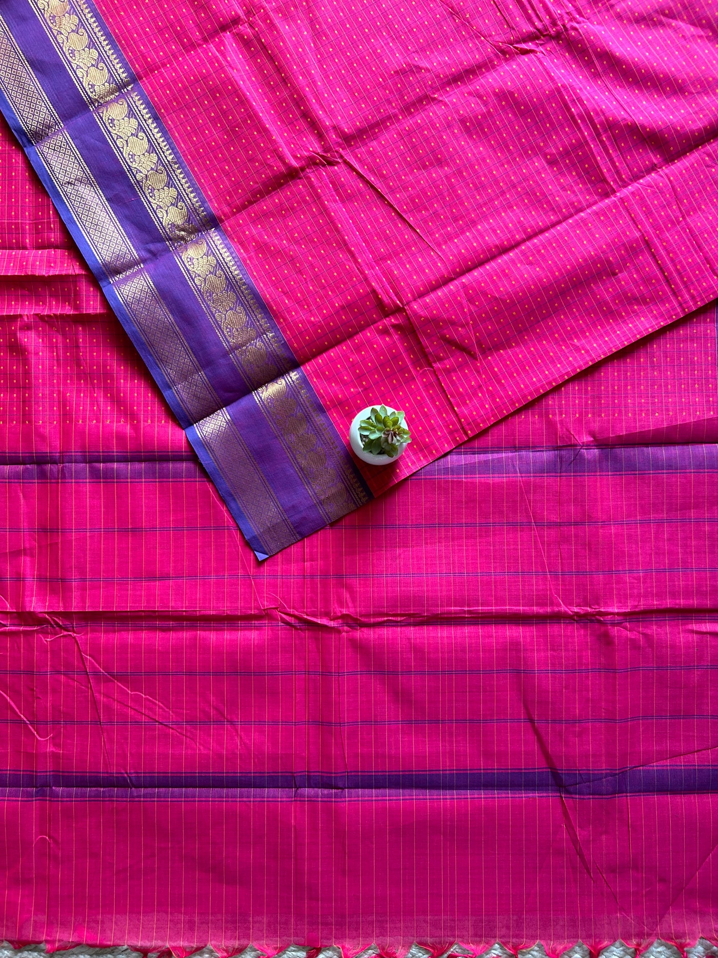 Ragini:KANCHIPURAM PURE COTTON SAREE WITH BODERS.