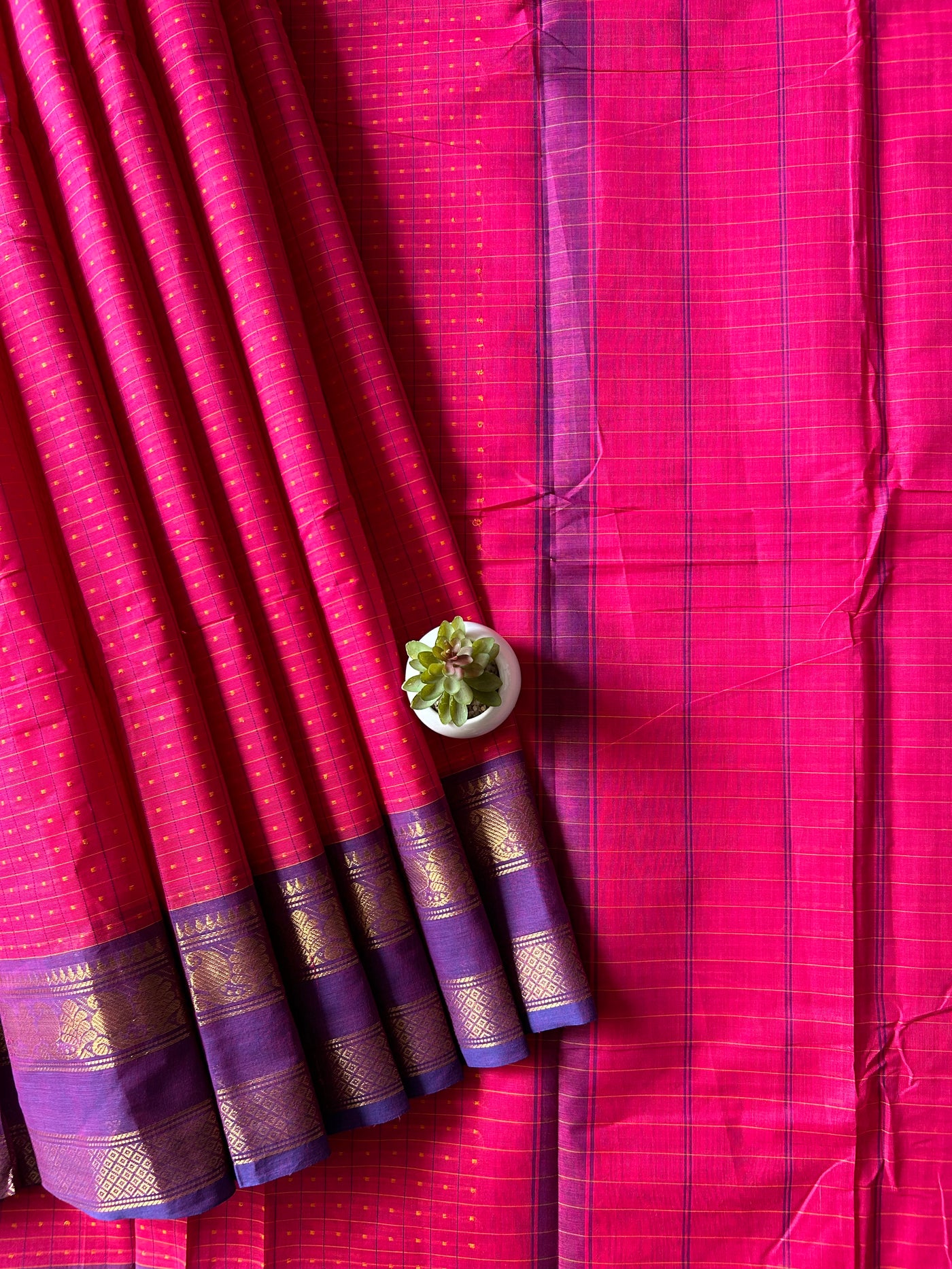 Ragini:KANCHIPURAM PURE COTTON SAREE WITH BODERS.