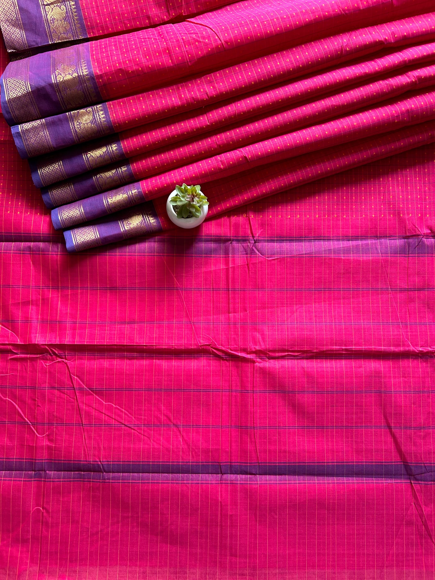 Ragini:KANCHIPURAM PURE COTTON SAREE WITH BODERS.