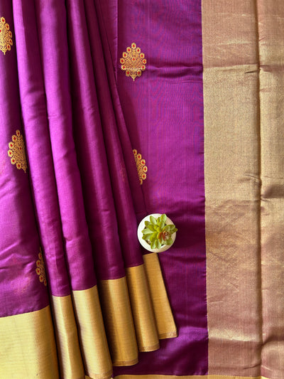 GULDASTA: HANDLOOM PURE SILK CHANDERI SAREE WITH EK NALIYA BOOTA