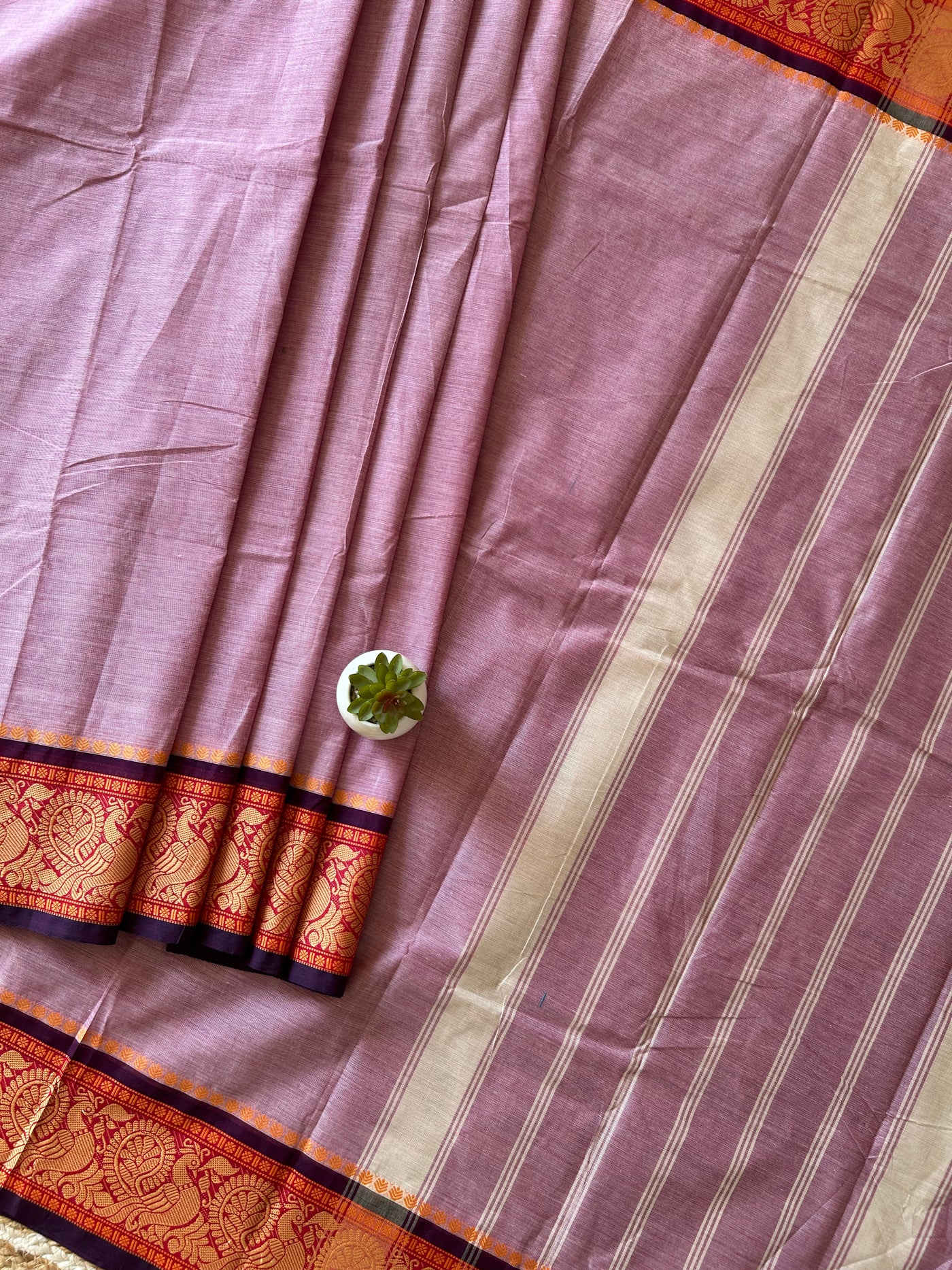 Gulabo:KANCHIPURAM PURE COTTON SAREE WITH BODERS.