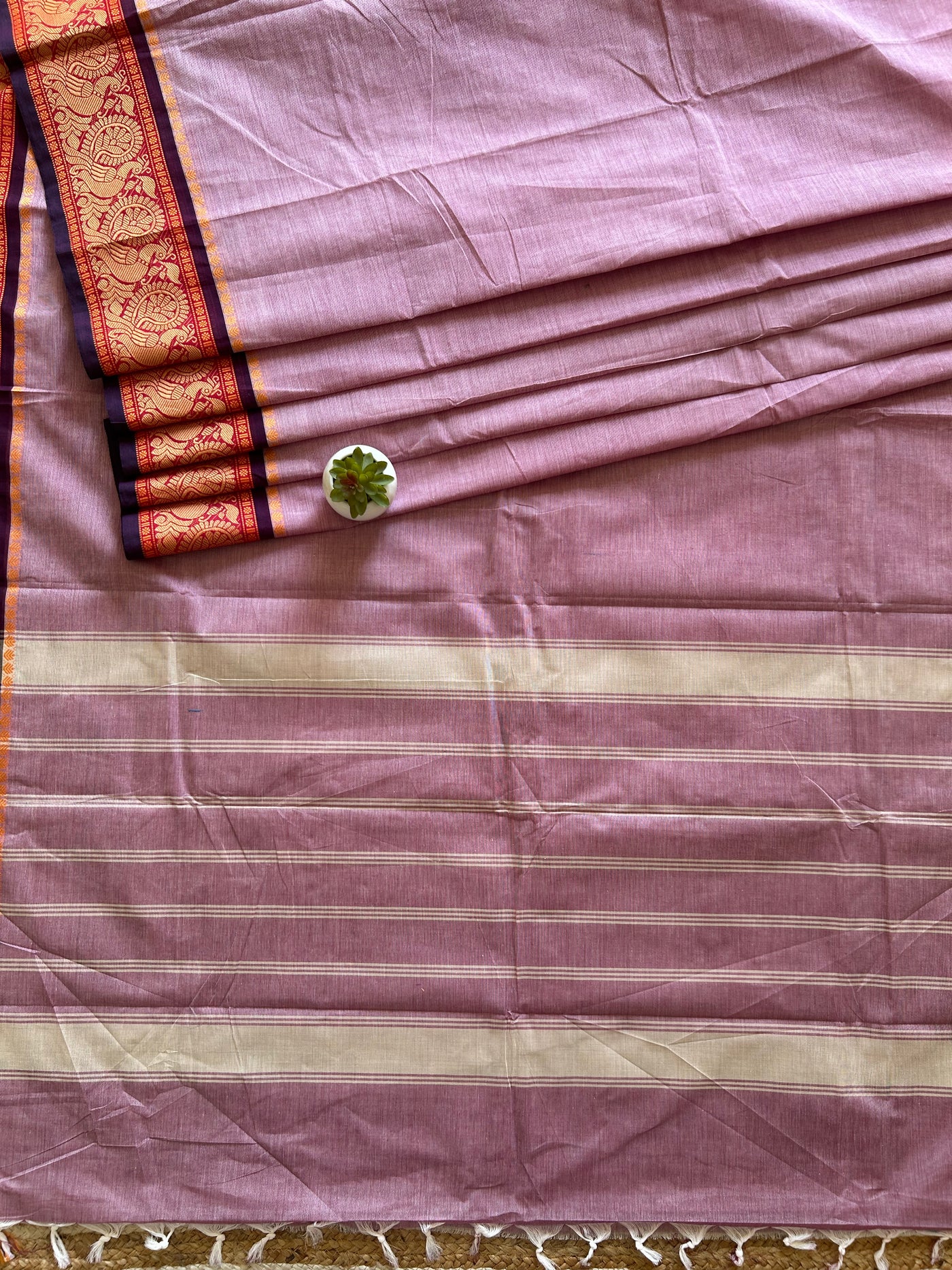 Gulabo:KANCHIPURAM PURE COTTON SAREE WITH BODERS.