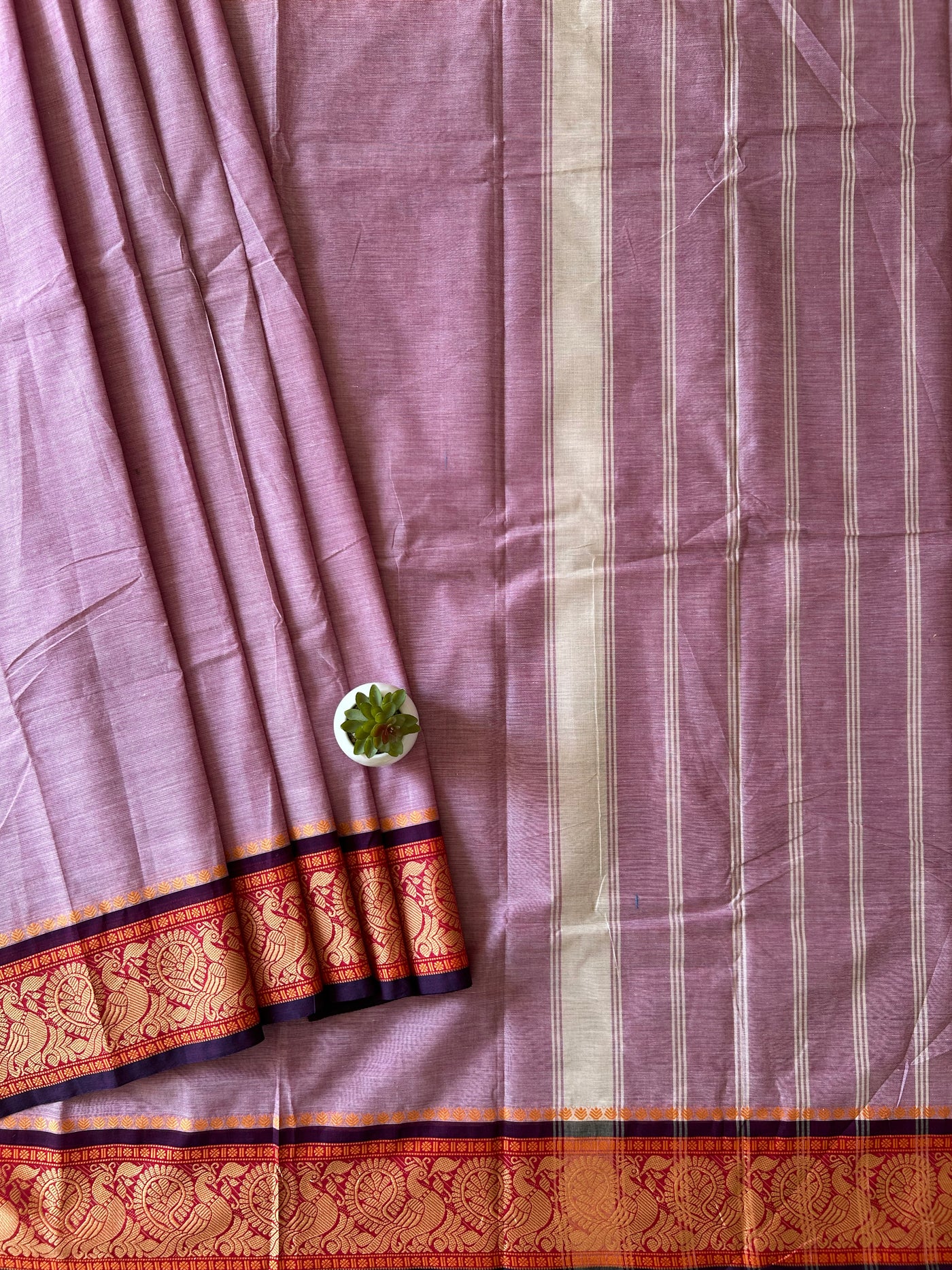 Gulabo:KANCHIPURAM PURE COTTON SAREE WITH BODERS.