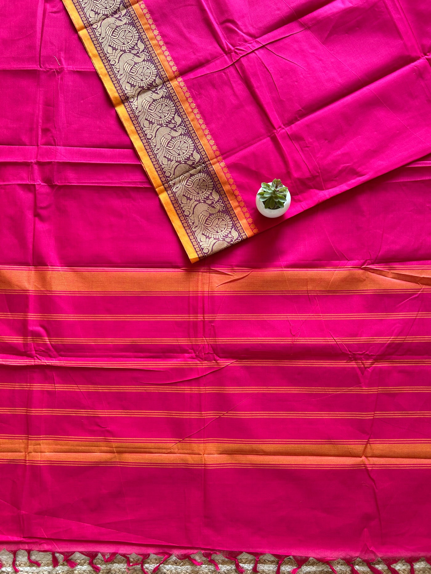 Lalita: KANCHIPURAM PURE COTTON SAREE WITH BODERS.