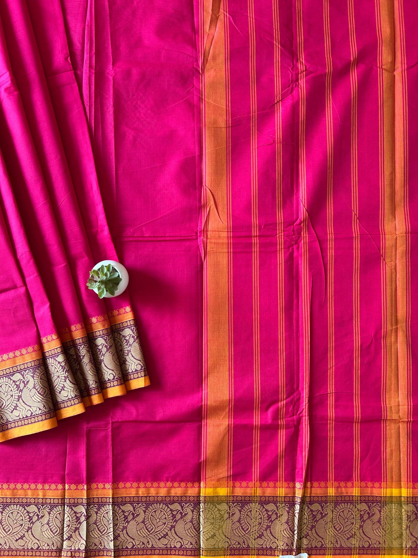 Lalita: KANCHIPURAM PURE COTTON SAREE WITH BODERS.