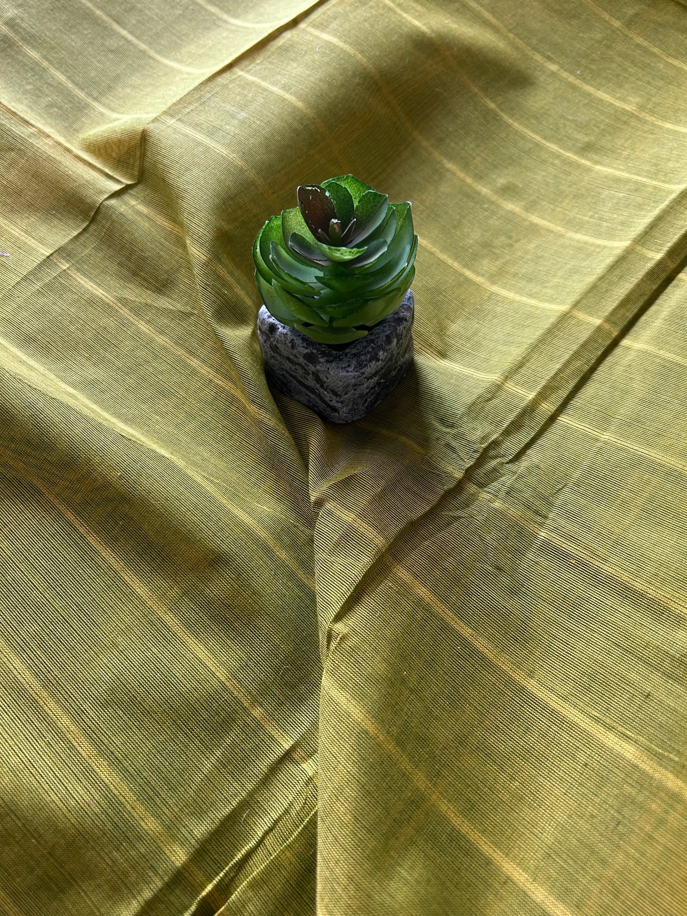ANANTYA:PARROT GREEN,KANCHIPURAM PURE COTTON SAREE WITH BORDERS