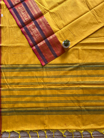 Vijaya: KANCHIPURAM PURE COTTON SAREE WITH BODERS.