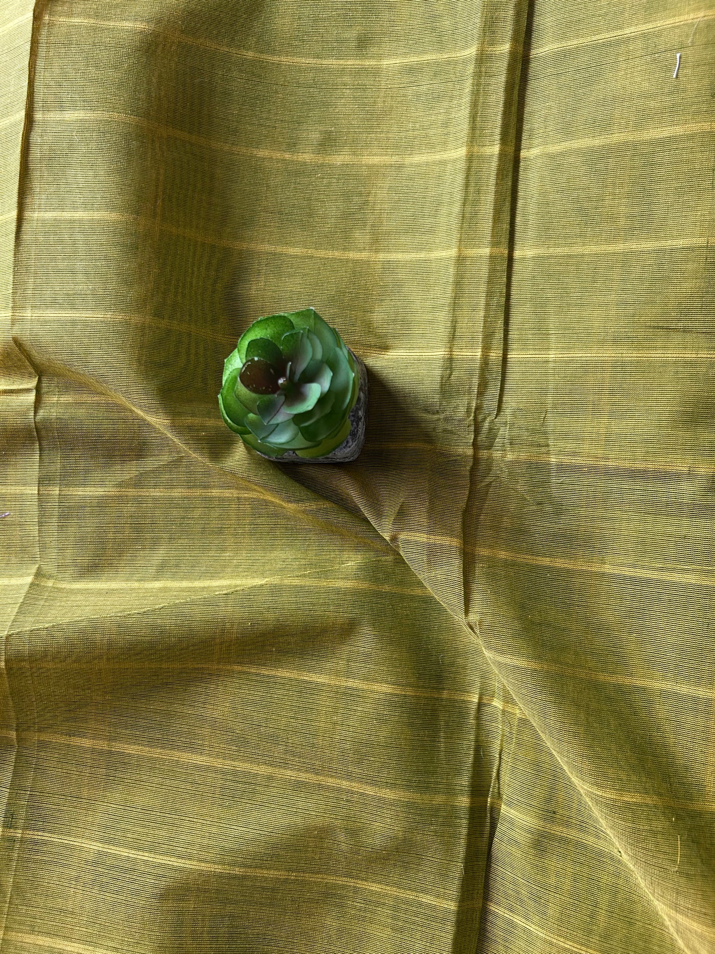 ANANTYA:PARROT GREEN,KANCHIPURAM PURE COTTON SAREE WITH BORDERS