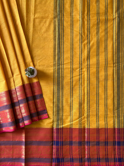 Vijaya: KANCHIPURAM PURE COTTON SAREE WITH BODERS.