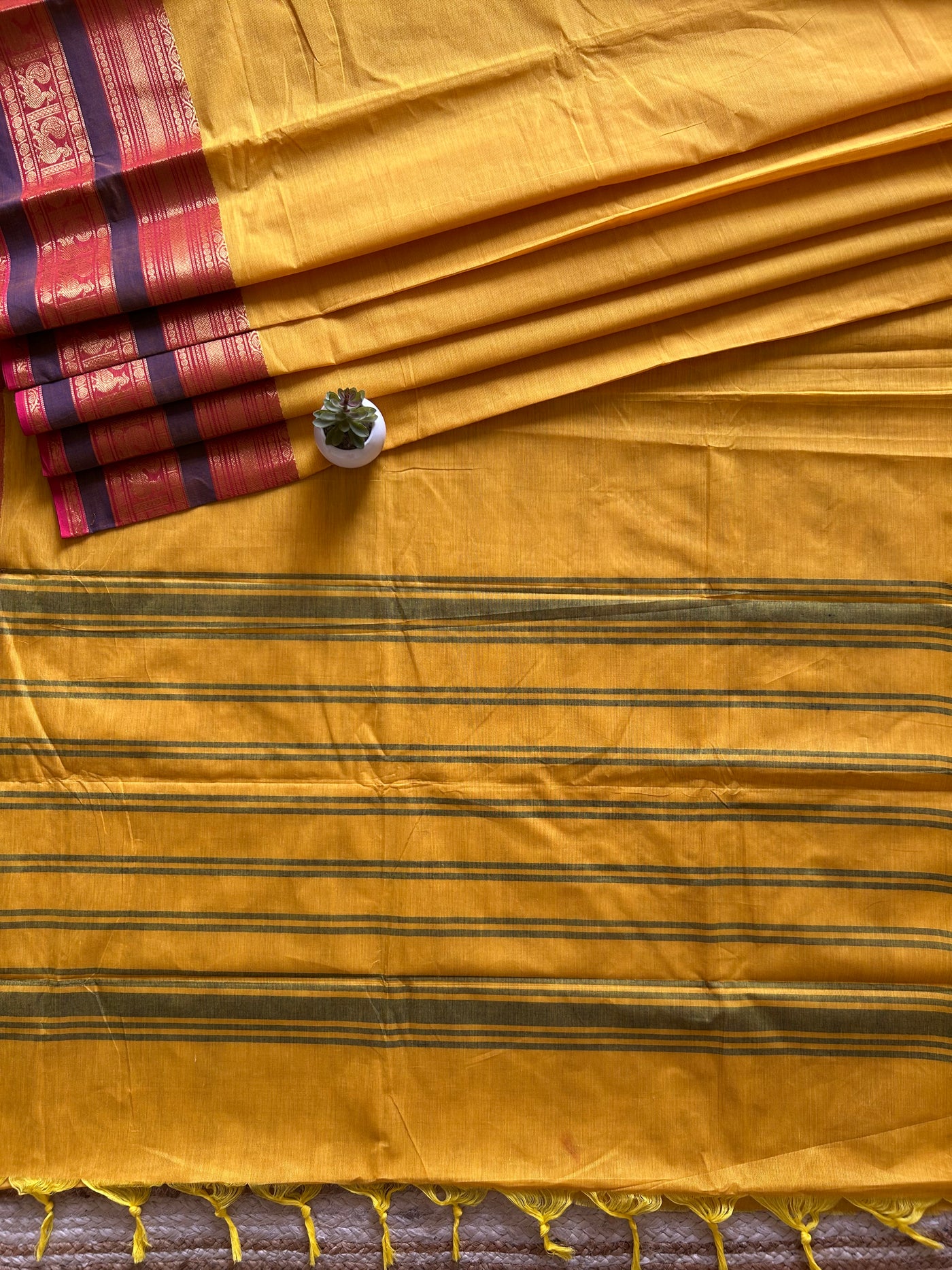 Vijaya: KANCHIPURAM PURE COTTON SAREE WITH BODERS.