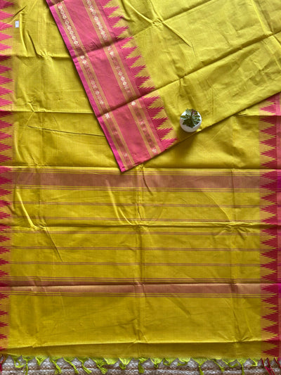 Kishori: KANCHIPURAM PURE COTTON SAREE WITH BODERS.