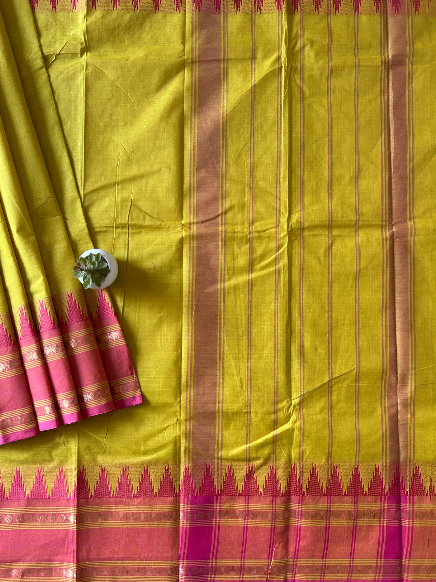 Kishori: KANCHIPURAM PURE COTTON SAREE WITH BODERS.