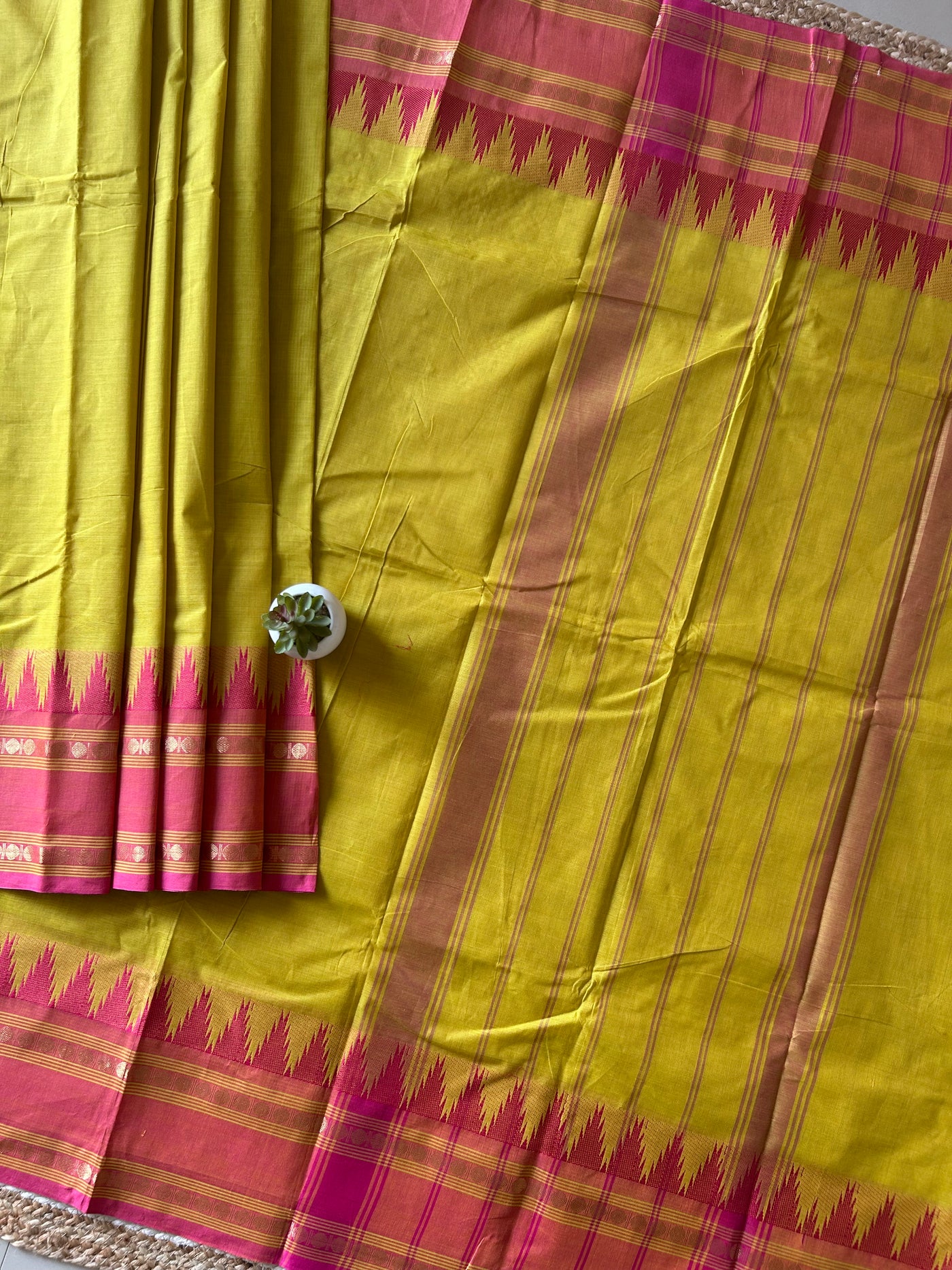 Kishori: KANCHIPURAM PURE COTTON SAREE WITH BODERS.