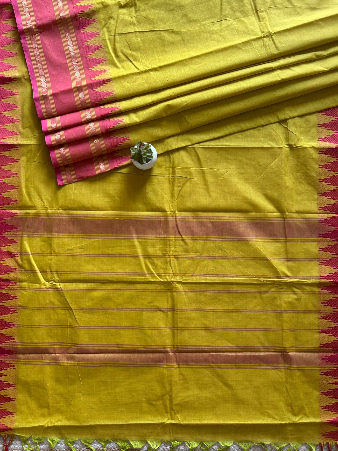 Kishori: KANCHIPURAM PURE COTTON SAREE WITH BODERS.