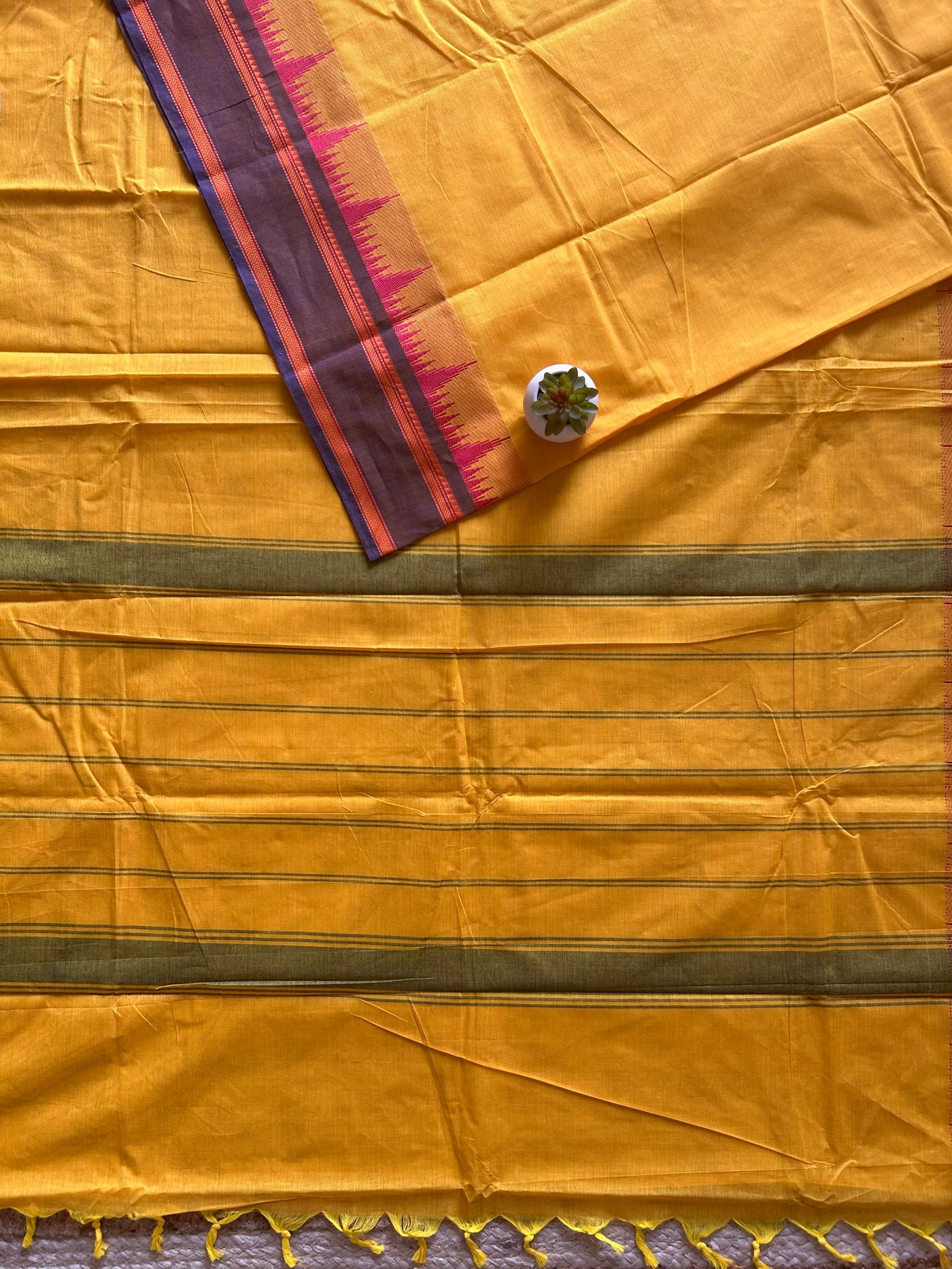 Kumari: KANCHIPURAM PURE COTTON SAREE WITH BODERS.