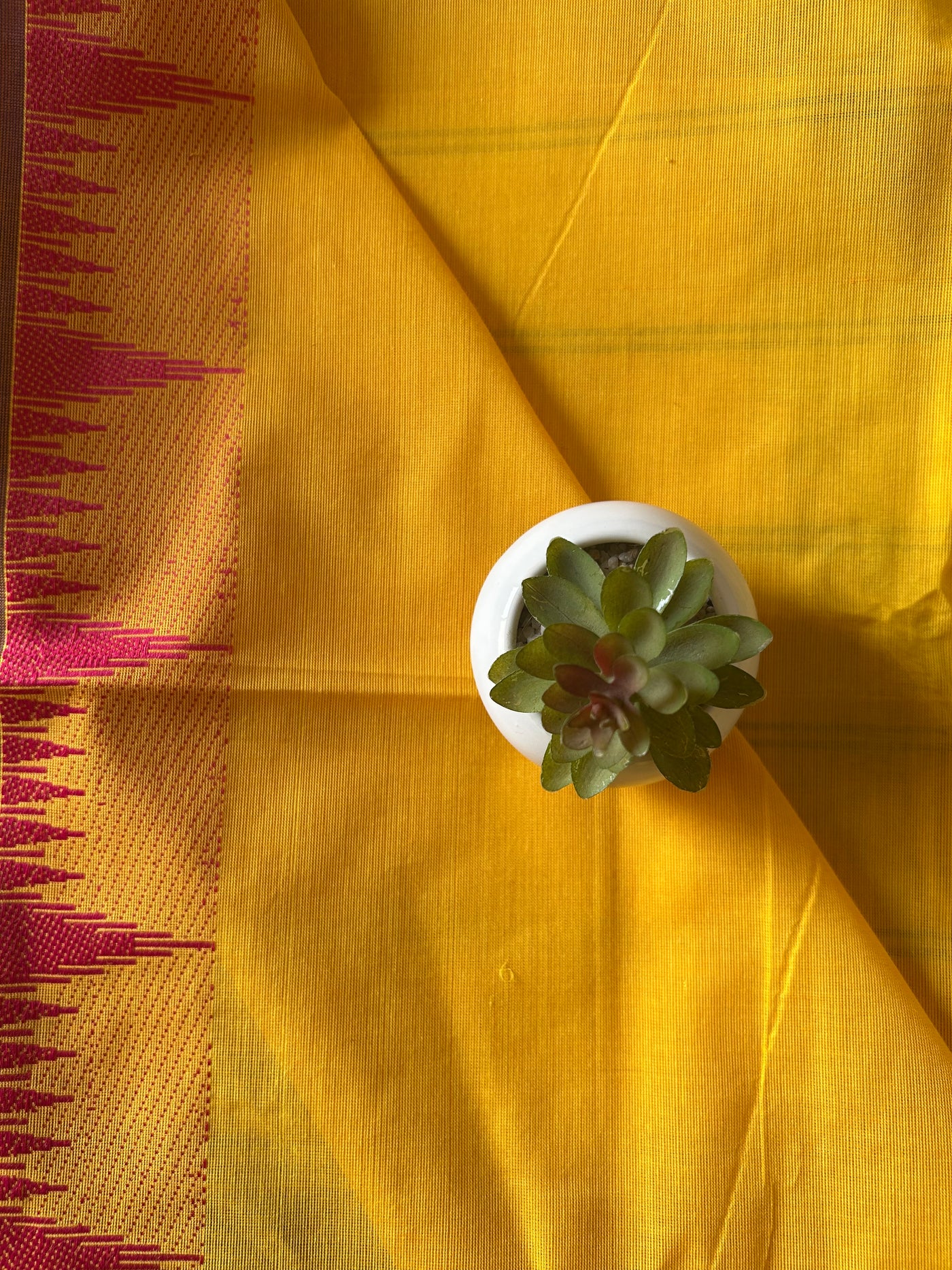 Kumari: KANCHIPURAM PURE COTTON SAREE WITH BODERS.