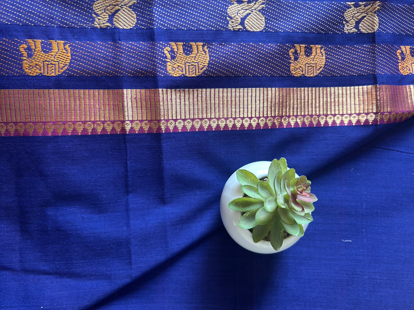 BHOOMIJA: KANCHIPURAM PURE COTTON SAREE WITH BODERS.