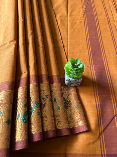 MEENAKSHI:GOLDEN BROWN,KANCHIPURAM PURE COTTON SAREE WITH BORDERS