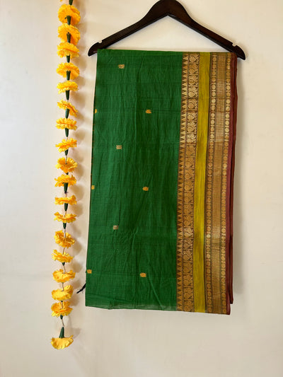 SUTLEJ: KANCHIPURAM COTTON SAREE