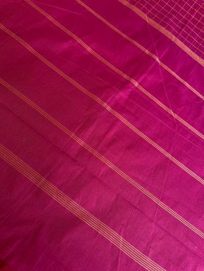 SUTLEJ: KANCHIPURAM COTTON SAREE