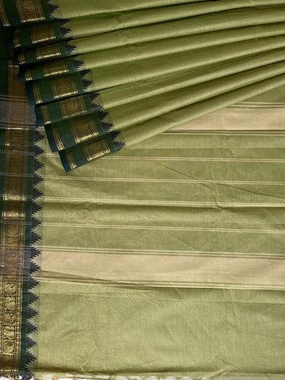 RAMYA:KANCHIPURAM PURE COTTON SAREE WITH BORDERS.