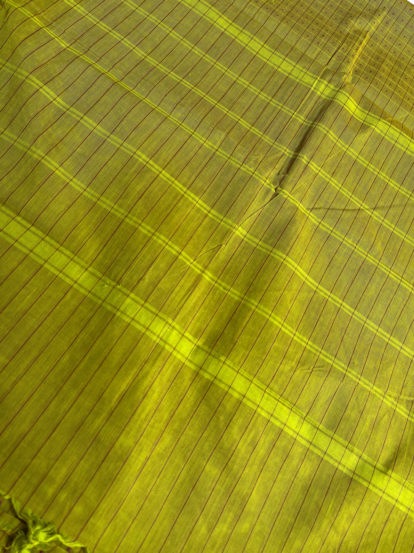 KOSI: KANCHIPURAM PURE COTTON SAREE WITH BORDERS.