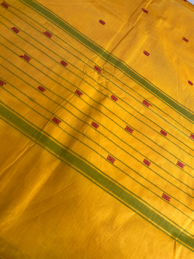 SURAJMUKHI: KANCHIPURAM PURE COTTON SAREE WITH BORDERS.