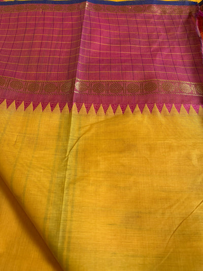 SURAJMUKHI: KANCHIPURAM PURE COTTON SAREE WITH BORDERS.