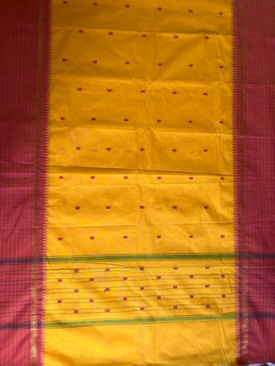 SURAJMUKHI: KANCHIPURAM PURE COTTON SAREE WITH BORDERS.