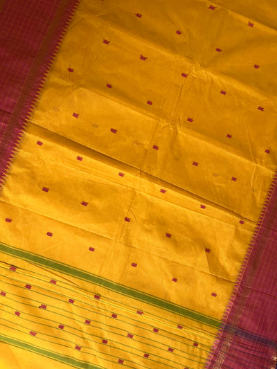 SURAJMUKHI: KANCHIPURAM PURE COTTON SAREE WITH BORDERS.