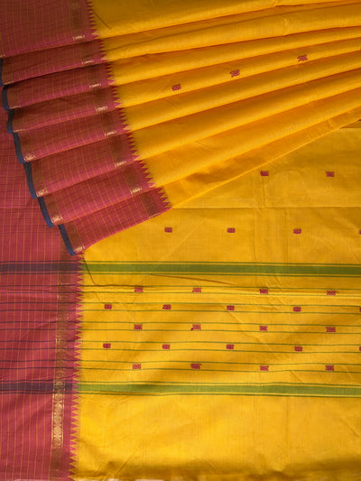 SURAJMUKHI: KANCHIPURAM PURE COTTON SAREE WITH BORDERS.