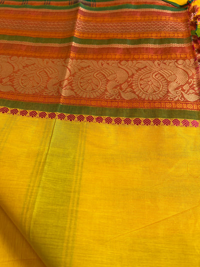 REVATI:KANCHIPURAM PURE COTTON SAREE WITH BORDERS.