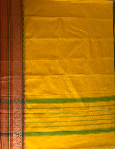 REVATI:KANCHIPURAM PURE COTTON SAREE WITH BORDERS.