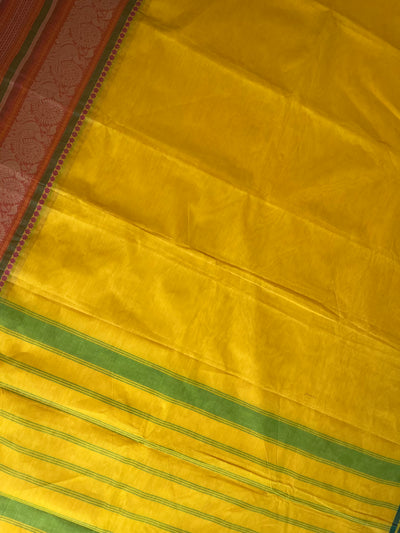 REVATI:KANCHIPURAM PURE COTTON SAREE WITH BORDERS.