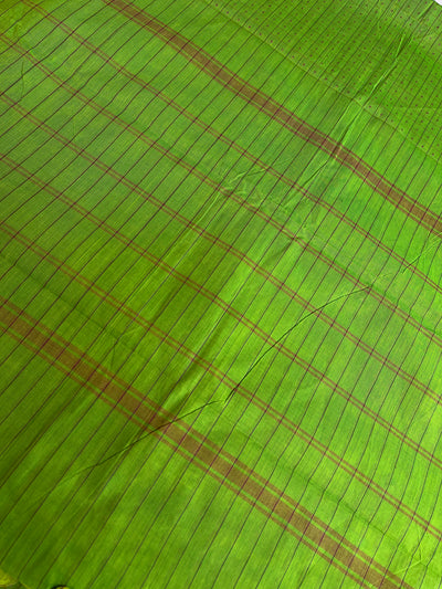 SAURABHI: KANCHIPURAM PURE COTTON SAREE WITH BORDERS.
