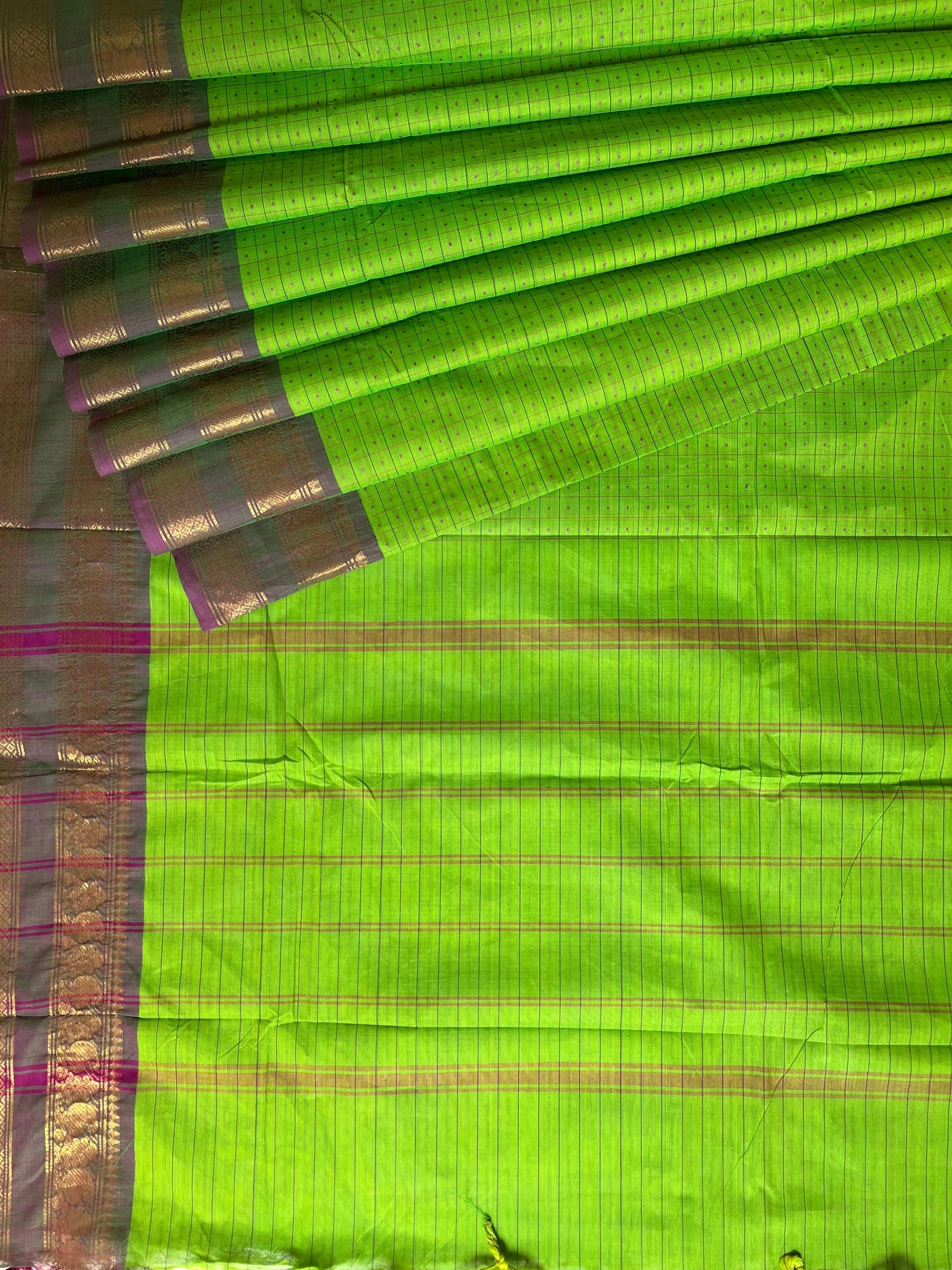 SAURABHI: KANCHIPURAM PURE COTTON SAREE WITH BORDERS.