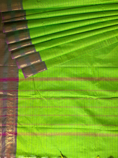 SAURABHI: KANCHIPURAM PURE COTTON SAREE WITH BORDERS.