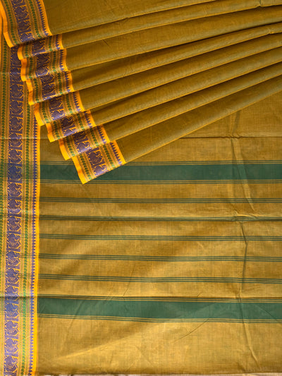 BINDIYA: PURE KANCHIPURAM COTTON SAREE WITH JACQUARD WEAVING.