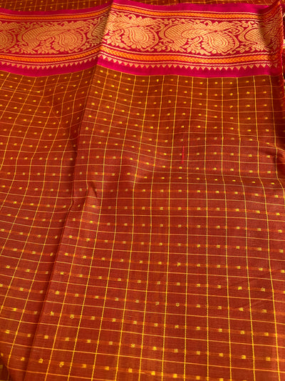 GODAVARI: KANCHIPURAM PURE COTTON SAREE WITH BORDERS.
