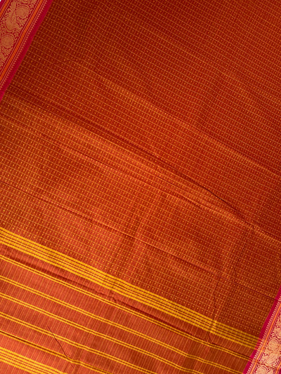 GODAVARI: KANCHIPURAM PURE COTTON SAREE WITH BORDERS.